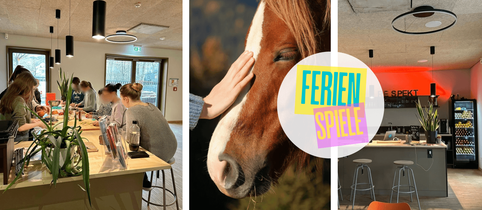 Titelbild für Ferienangebot: Offener Mädchen*treff - Wir besuchen einen Pony Hof!